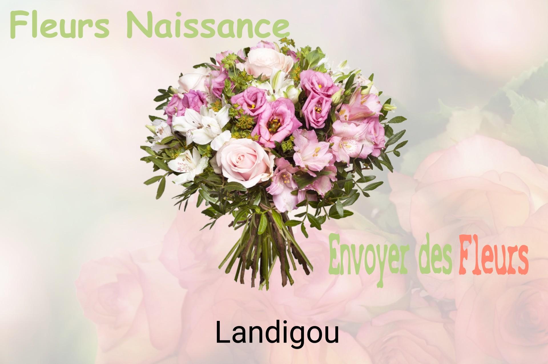 Bouquet de fleurs de naissance livré à Landigou
